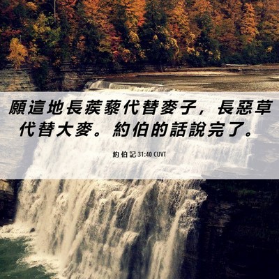 Picture 06 - 約 伯 記 31:40 CUVT - 願 這 地 長 蒺 藜 代 替 麥 子 ， 長 - Bible Verse Picture