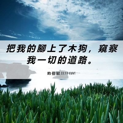 Picture 06 - 約 伯 記 33:11 CUVT - 把 我 的 腳 上 了 木 狗 ， 窺 察 我 - Bible Verse Picture