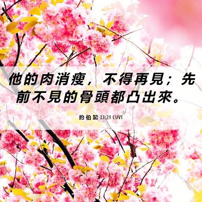 Picture 06 - 約 伯 記 33:21 CUVT - 他 的 肉 消 瘦 ， 不 得 再 見 ； 先 - Bible Verse Picture