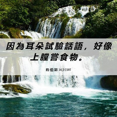 Picture 06 - 約 伯 記 34:3 CUVT - 因 為 耳 朵 試 驗 話 語 ， 好 像 上 - Bible Verse Picture