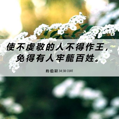 Picture 06 - 約 伯 記 34:30 CUVT - 使 不 虔 敬 的 人 不 得 作 王 ， 免 - Bible Verse Picture