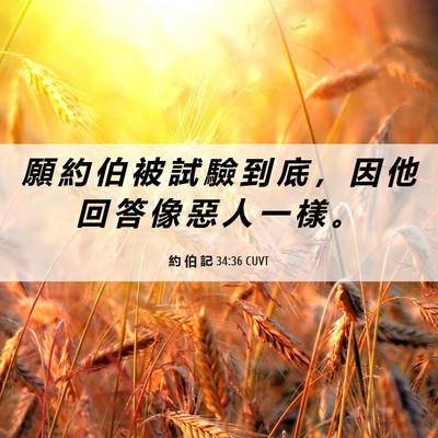 Picture 06 - 約 伯 記 34:36 CUVT - 願 約 伯 被 試 驗 到 底 ， 因 他 回 - Bible Verse Picture