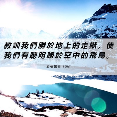 Picture 06 - 約 伯 記 35:11 CUVT - 教 訓 我 們 勝 於 地 上 的 走 獸 ， - Bible Verse Picture