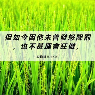 Picture 06 - 約 伯 記 35:15 CUVT - 但 如 今 因 他 未 曾 發 怒 降 罰 ， - Bible Verse Picture