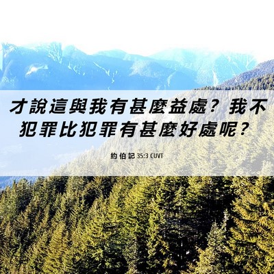 Picture 06 - 約 伯 記 35:3 CUVT - 才 說 這 與 我 有 甚 麼 益 處 ？ 我 - Bible Verse Picture