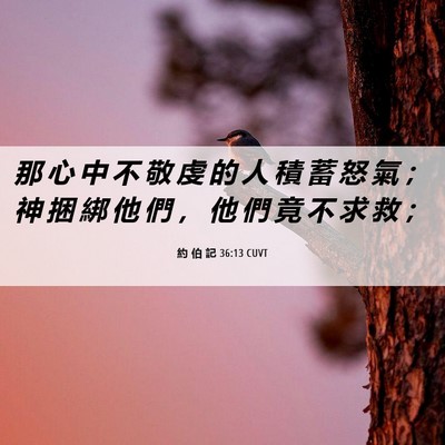 Picture 06 - 約 伯 記 36:13 CUVT - 那 心 中 不 敬 虔 的 人 積 蓄 怒 氣 - Bible Verse Picture