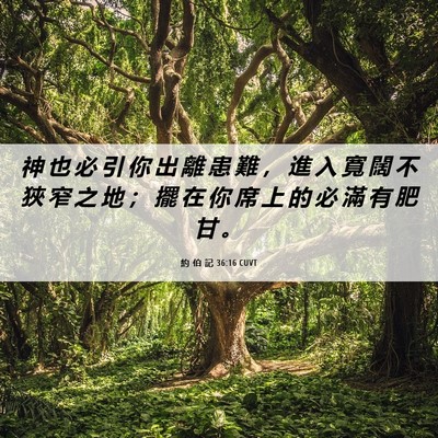 Picture 06 - 約 伯 記 36:16 CUVT - 神 也 必 引 你 出 離 患 難 ， 進 入 - Bible Verse Picture