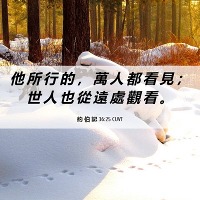Picture 06 - 約 伯 記 36:25 CUVT - 他 所 行 的 ， 萬 人 都 看 見 ； 世 - Bible Verse Picture