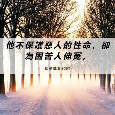 Picture 06 - 約 伯 記 36:6 CUVT - 他 不 保 護 惡 人 的 性 命 ， 卻 為 - Bible Verse Picture
