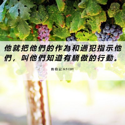 Picture 06 - 約 伯 記 36:9 CUVT - 他 就 把 他 們 的 作 為 和 過 犯 指 - Bible Verse Picture