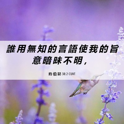 Picture 06 - 約 伯 記 38:2 CUVT - 誰 用 無 知 的 言 語 使 我 的 旨 意 - Bible Verse Picture