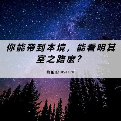 Picture 06 - 約 伯 記 38:20 CUVT - 你 能 帶 到 本 境 ， 能 看 明 其 室 - Bible Verse Picture