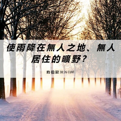 Picture 06 - 約 伯 記 38:26 CUVT - 使 雨 降 在 無 人 之 地 、 無 人 居 - Bible Verse Picture
