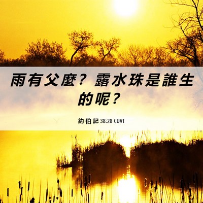 Picture 06 - 約 伯 記 38:28 CUVT - 雨 有 父 麼 ？ 露 水 珠 是 誰 生 的 - Bible Verse Picture