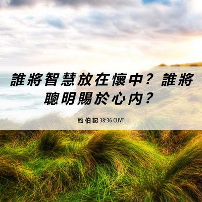 Picture 06 - 約 伯 記 38:36 CUVT - 誰 將 智 慧 放 在 懷 中 ？ 誰 將 聰 - Bible Verse Picture