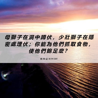 Picture 06 - 約 伯 記 38:39 CUVT - 母 獅 子 在 洞 中 蹲 伏 ， 少 壯 獅 - Bible Verse Picture