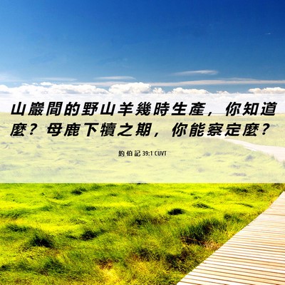 Picture 06 - 約 伯 記 39:1 CUVT - 山 巖 間 的 野 山 羊 幾 時 生 產 ， - Bible Verse Picture