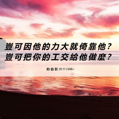 Picture 06 - 約 伯 記 39:11 CUVT - 豈 可 因 他 的 力 大 就 倚 靠 他 ？ - Bible Verse Picture