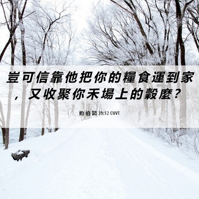 Picture 06 - 約 伯 記 39:12 CUVT - 豈 可 信 靠 他 把 你 的 糧 食 運 到 - Bible Verse Picture