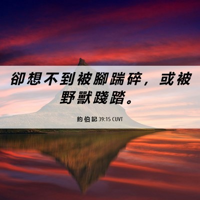 Picture 06 - 約 伯 記 39:15 CUVT - 卻 想 不 到 被 腳 踹 碎 ， 或 被 野 - Bible Verse Picture