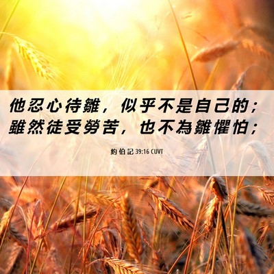 Picture 06 - 約 伯 記 39:16 CUVT - 他 忍 心 待 雛 ， 似 乎 不 是 自 己 - Bible Verse Picture