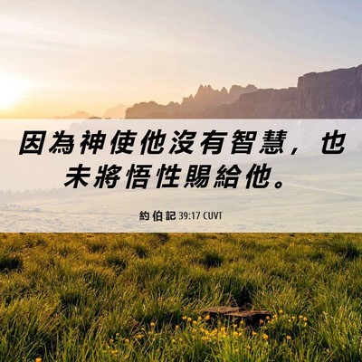 Picture 06 - 約 伯 記 39:17 CUVT - 因 為 神 使 他 沒 有 智 慧 ， 也 未 - Bible Verse Picture