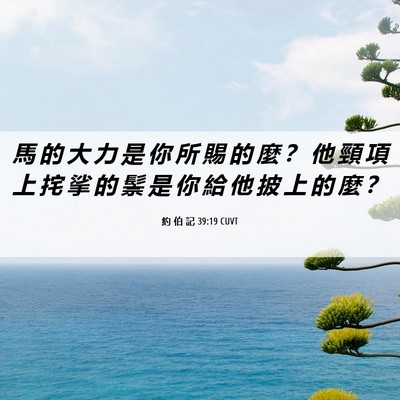 Picture 06 - 約 伯 記 39:19 CUVT - 馬 的 大 力 是 你 所 賜 的 麼 ？ 他 - Bible Verse Picture