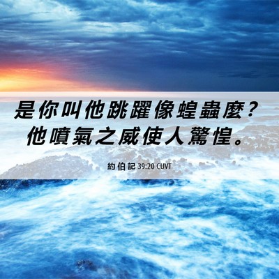 Picture 06 - 約 伯 記 39:20 CUVT - 是 你 叫 他 跳 躍 像 蝗 蟲 麼 ？ 他 - Bible Verse Picture