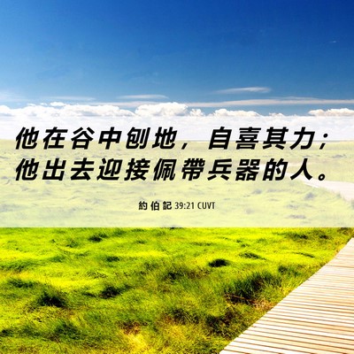 Picture 06 - 約 伯 記 39:21 CUVT - 他 在 谷 中 刨 地 ， 自 喜 其 力 ； - Bible Verse Picture