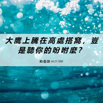Picture 06 - 約 伯 記 39:27 CUVT - 大 鷹 上 騰 在 高 處 搭 窩 ， 豈 是 - Bible Verse Picture