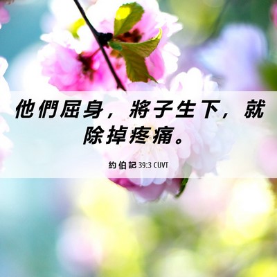 Picture 06 - 約 伯 記 39:3 CUVT - 他 們 屈 身 ， 將 子 生 下 ， 就 除 - Bible Verse Picture