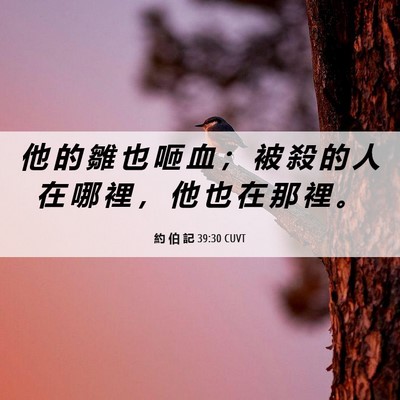 Picture 06 - 約 伯 記 39:30 CUVT - 他 的 雛 也 咂 血 ； 被 殺 的 人 在 - Bible Verse Picture