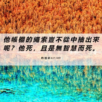 Picture 06 - 約 伯 記 4:21 CUVT - 他 帳 棚 的 繩 索 豈 不 從 中 抽 出 - Bible Verse Picture