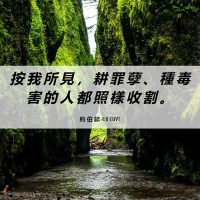 Picture 06 - 約 伯 記 4:8 CUVT - 按 我 所 見 ， 耕 罪 孽 、 種 毒 害 - Bible Verse Picture