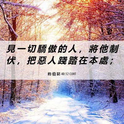Picture 06 - 約 伯 記 40:12 CUVT - 見 一 切 驕 傲 的 人 ， 將 他 制 伏 - Bible Verse Picture