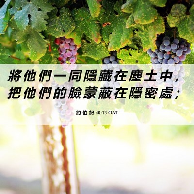 Picture 06 - 約 伯 記 40:13 CUVT - 將 他 們 一 同 隱 藏 在 塵 土 中 ， - Bible Verse Picture