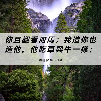 Picture 06 - 約 伯 記 40:15 CUVT - 你 且 觀 看 河 馬 ； 我 造 你 也 造 - Bible Verse Picture