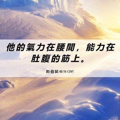 Picture 06 - 約 伯 記 40:16 CUVT - 他 的 氣 力 在 腰 間 ， 能 力 在 肚 - Bible Verse Picture