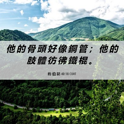 Picture 06 - 約 伯 記 40:18 CUVT - 他 的 骨 頭 好 像 銅 管 ； 他 的 肢 - Bible Verse Picture