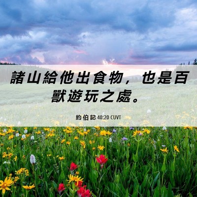 Picture 06 - 約 伯 記 40:20 CUVT - 諸 山 給 他 出 食 物 ， 也 是 百 獸 - Bible Verse Picture