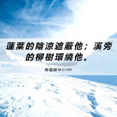 Picture 06 - 約 伯 記 40:22 CUVT - 蓮 葉 的 陰 涼 遮 蔽 他 ； 溪 旁 的 - Bible Verse Picture