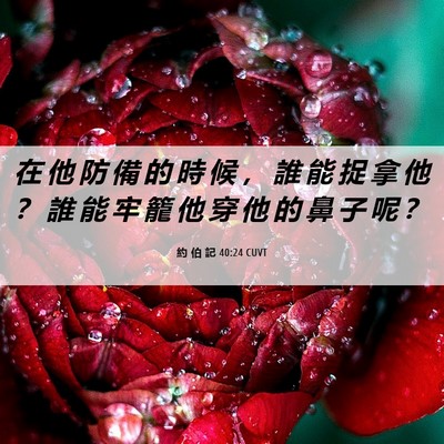 Picture 06 - 約 伯 記 40:24 CUVT - 在 他 防 備 的 時 候 ， 誰 能 捉 拿 - Bible Verse Picture
