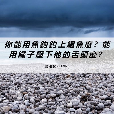 Picture 06 - 約 伯 記 41:1 CUVT - 你 能 用 魚 鉤 釣 上 鱷 魚 麼 ？ 能 - Bible Verse Picture