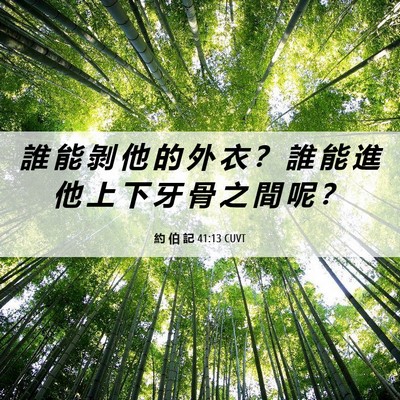 Picture 06 - 約 伯 記 41:13 CUVT - 誰 能 剝 他 的 外 衣 ？ 誰 能 進 他 - Bible Verse Picture