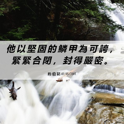 Picture 06 - 約 伯 記 41:15 CUVT - 他 以 堅 固 的 鱗 甲 為 可 誇 ， 緊 - Bible Verse Picture