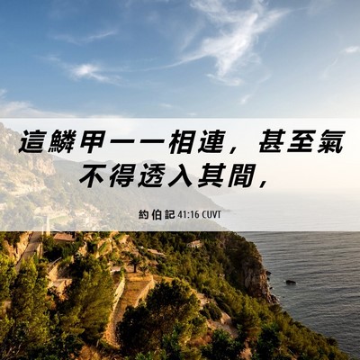 Picture 06 - 約 伯 記 41:16 CUVT - 這 鱗 甲 一 一 相 連 ， 甚 至 氣 不 - Bible Verse Picture