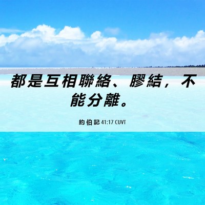Picture 06 - 約 伯 記 41:17 CUVT - 都 是 互 相 聯 絡 、 膠 結 ， 不 能 - Bible Verse Picture
