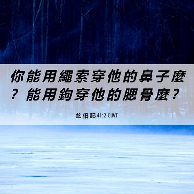 Picture 06 - 約 伯 記 41:2 CUVT - 你 能 用 繩 索 穿 他 的 鼻 子 麼 ？ - Bible Verse Picture