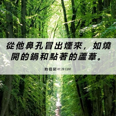 Picture 06 - 約 伯 記 41:20 CUVT - 從 他 鼻 孔 冒 出 煙 來 ， 如 燒 開 - Bible Verse Picture