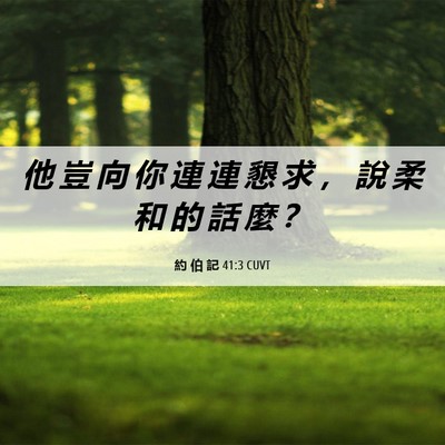 Picture 06 - 約 伯 記 41:3 CUVT - 他 豈 向 你 連 連 懇 求 ， 說 柔 和 - Bible Verse Picture